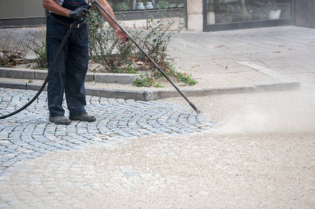 Best Restaurant Pressure Washing  in Linden, TX