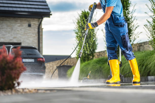 Best Solar Panel Cleaning  in Linden, TX
